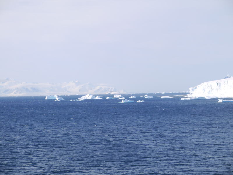 Pictures from the Antarctica