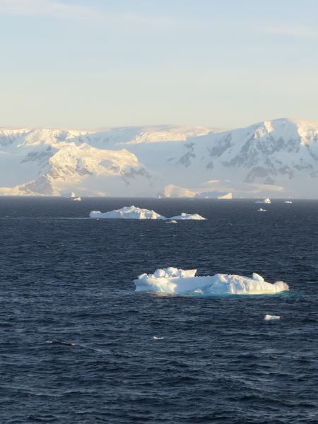 Pictures from the Antarctica