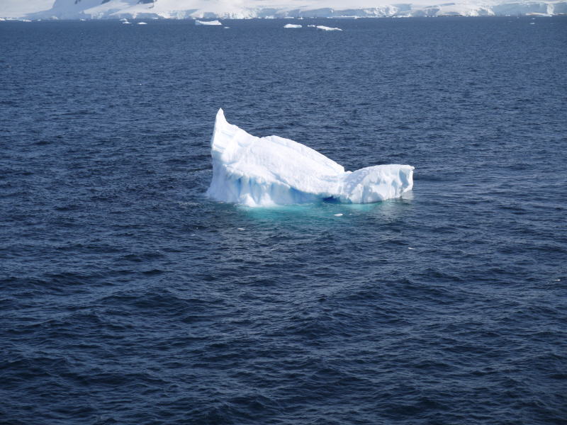 Pictures from the Antarctica