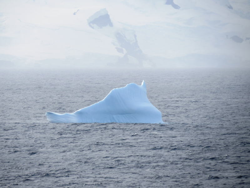 Pictures from the Antarctica