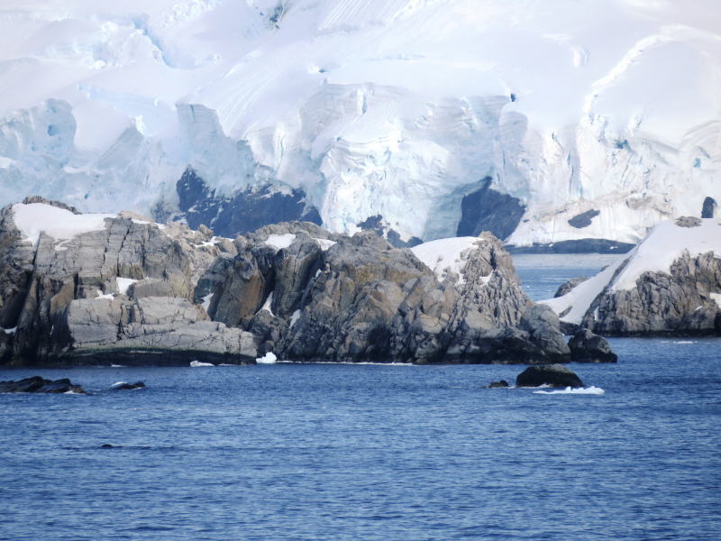 Pictures from the Antarctica