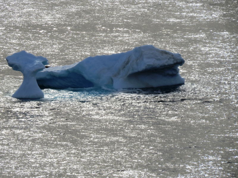 Pictures from the Antarctica