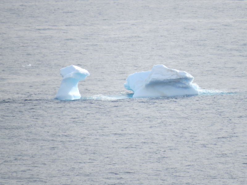 Pictures from the Antarctica