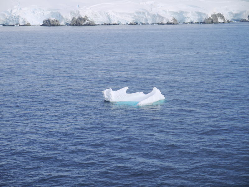 Pictures from the Antarctica