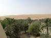 Pictures from Abu Dhabi
