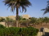Pictures from Abu Dhabi
