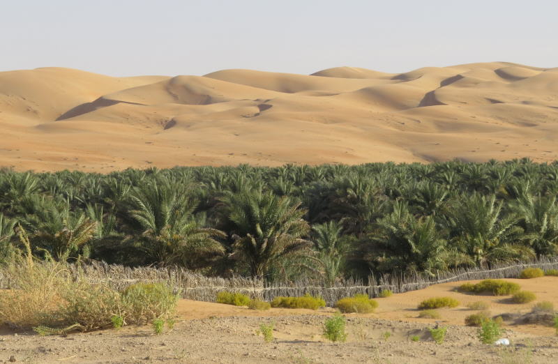 Pictures from Abu Dhabi 2014