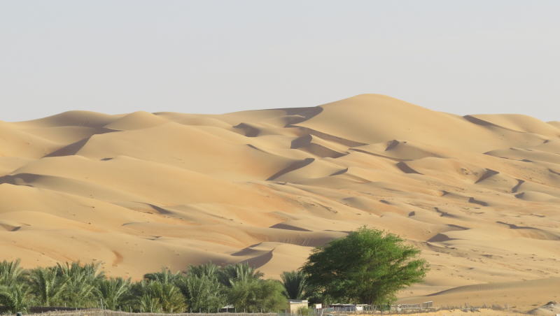 Pictures from Abu Dhabi 2014