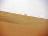 Pictures from Abu Dhabi
