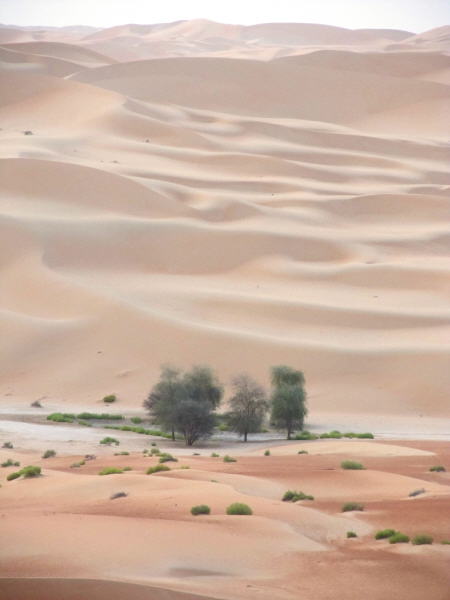 Pictures from Abu Dhabi 2012