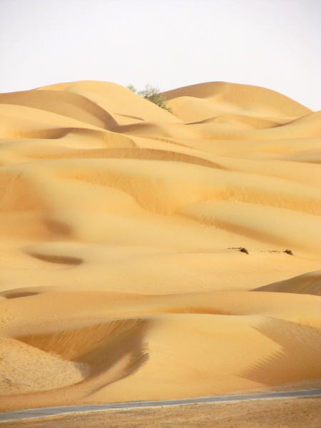 Pictures from Abu Dhabi 2012