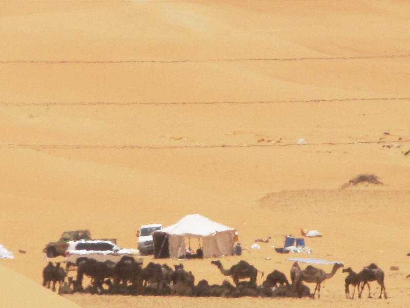 Pictures from Abu Dhabi 2012