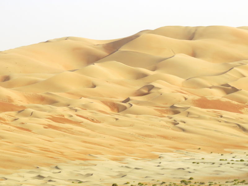 Abu Dhabi, UAE