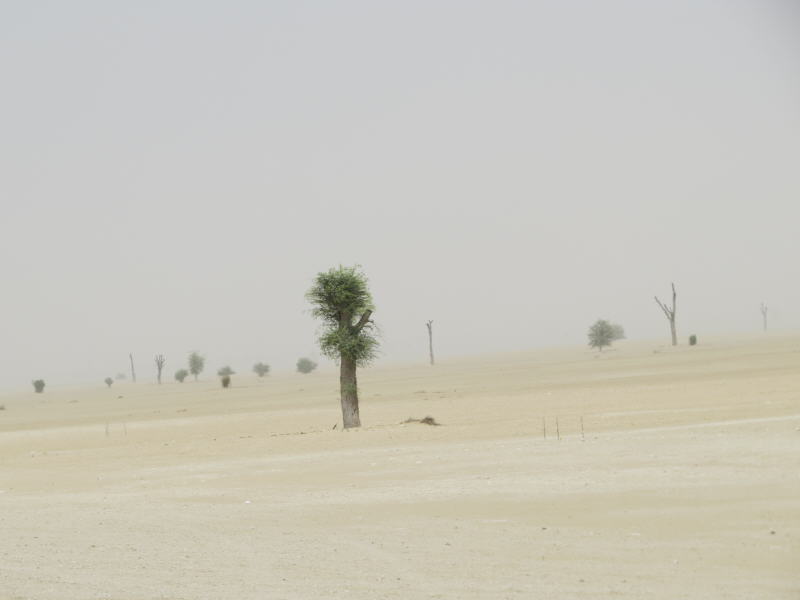 Abu Dhabi, UAE