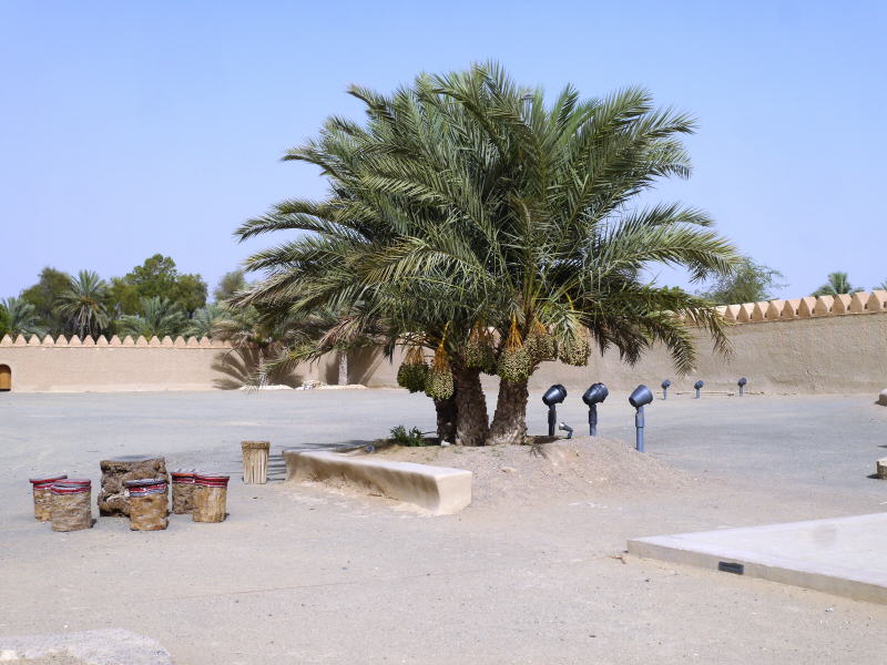 Abu Dhabi, UAE