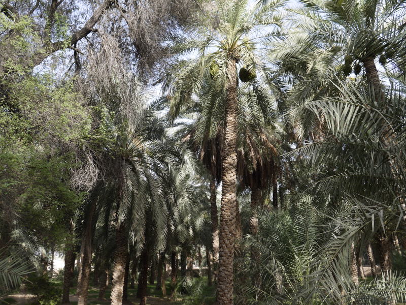 Abu Dhabi, UAE