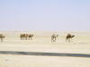 Pictures from Abu Dhabi 2011