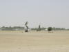 Pictures from Abu Dhabi 2011
