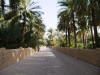 Pictures from Abu Dhabi
