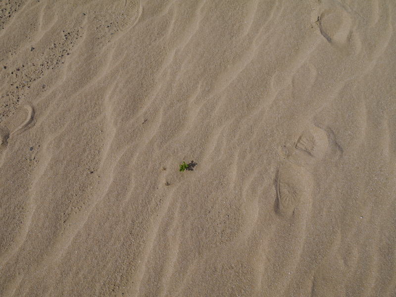 Pictures from Dubai 2014