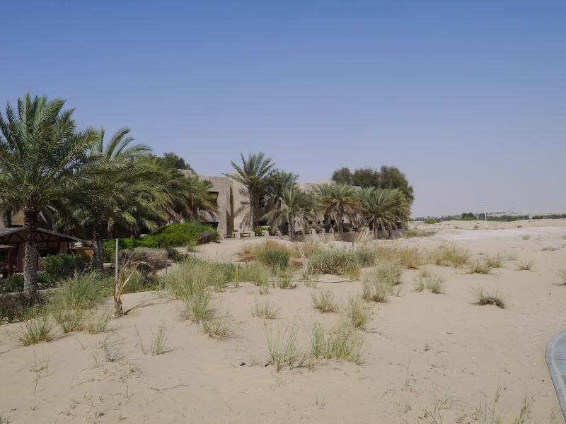 Pictures from Dubai 2014