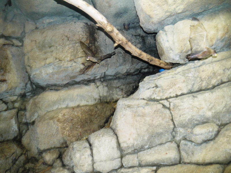 Pictures from Kuwait