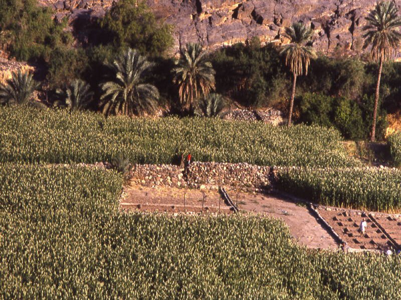 oman