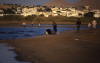 Pictures from Oman
