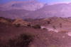 Pictures from Oman
