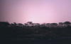 Pictures from Oman
