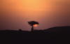 Pictures from Oman