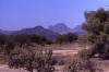 Pictures from Oman