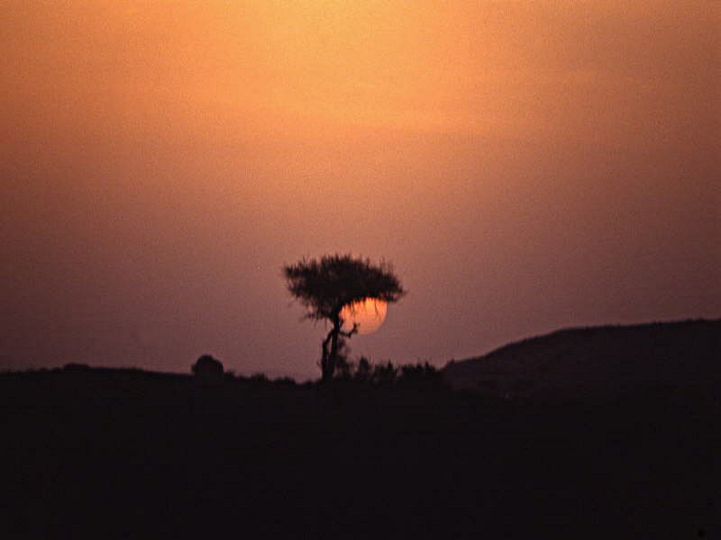 Pictures from Oman
