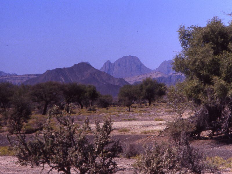 Pictures from Oman