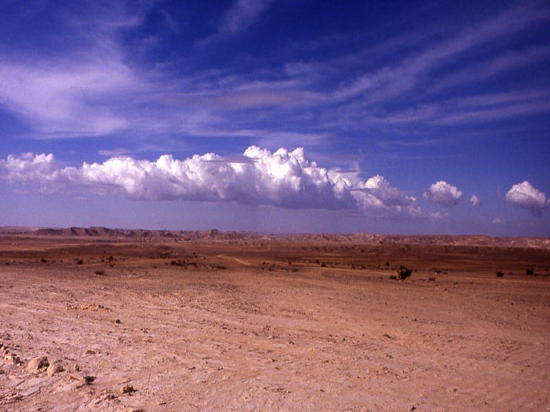 Pictures from Oman