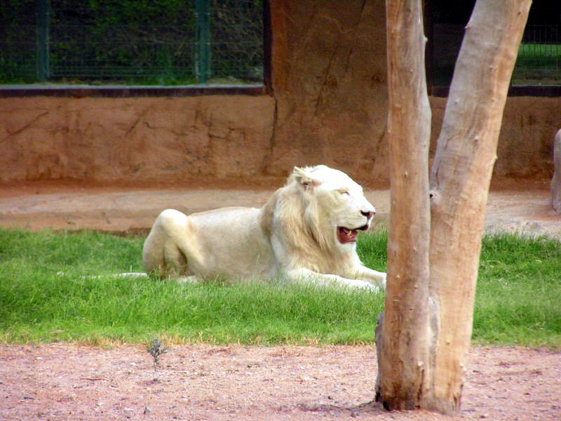 United Arab Emirates