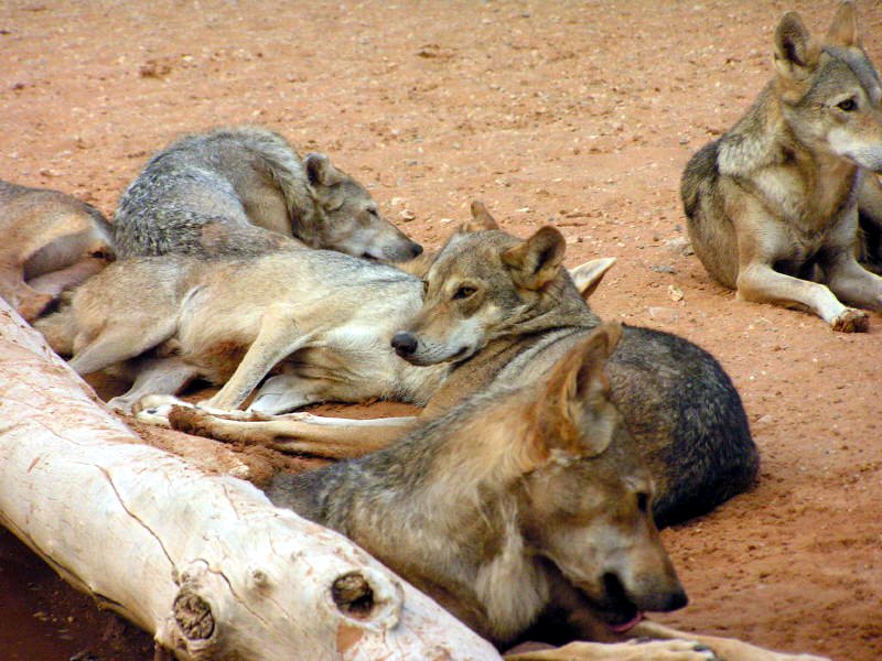 United Arab Emirates