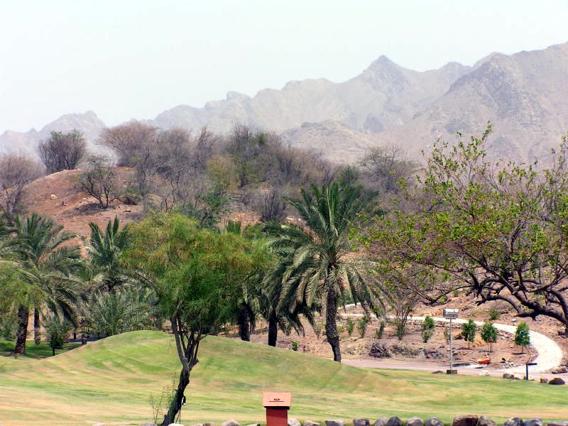 Pictures from the UAE