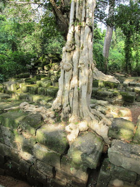 Pictures from Angkor Wat