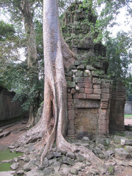 Pictures from Angkor Wat