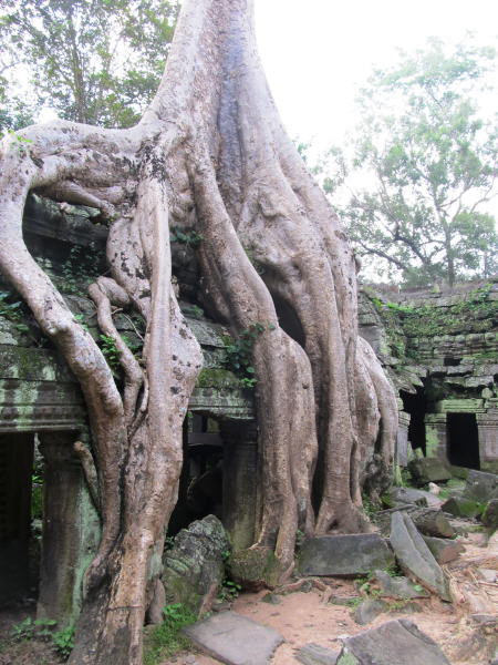Pictures from Angkor Wat