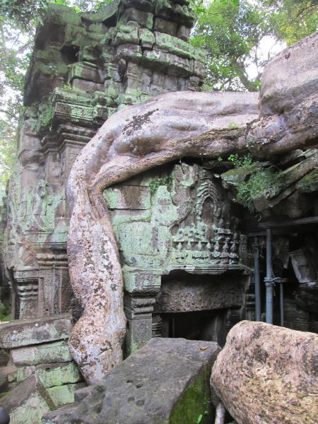Pictures from Angkor Wat