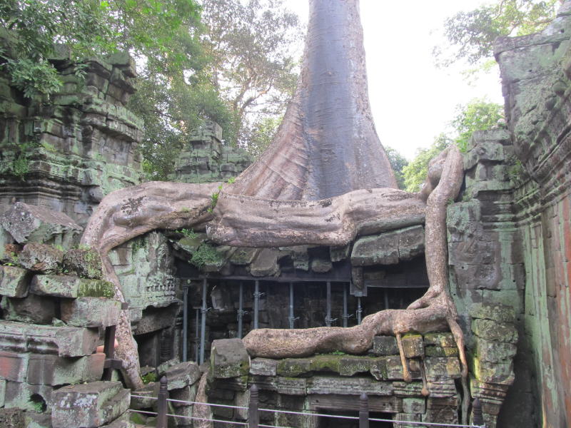 Pictures from Angkor Wat