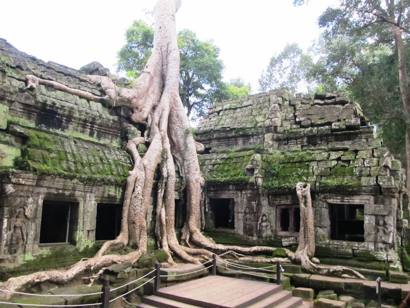 Pictures from Angkor Wat