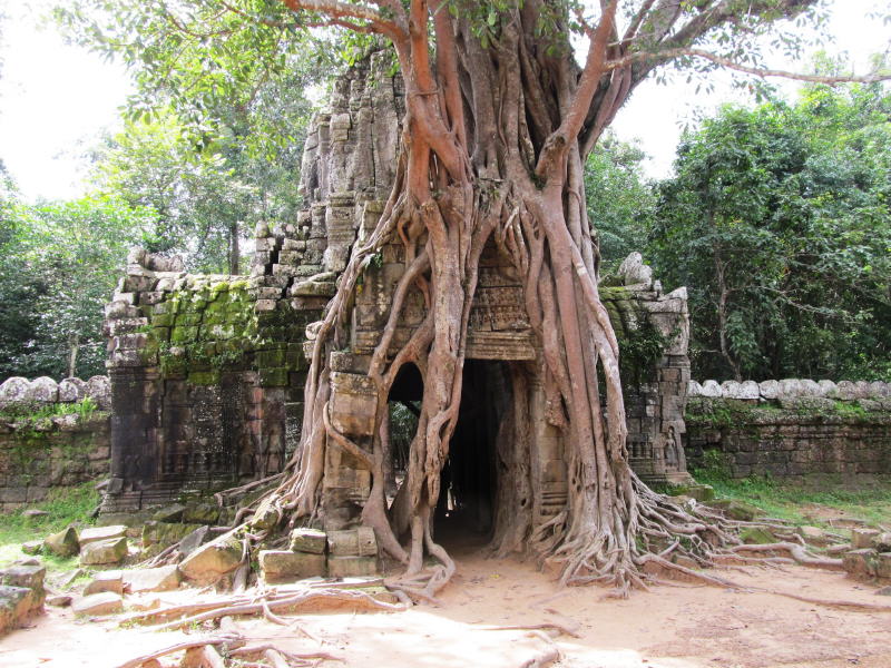 Pictures from Angkor Wat