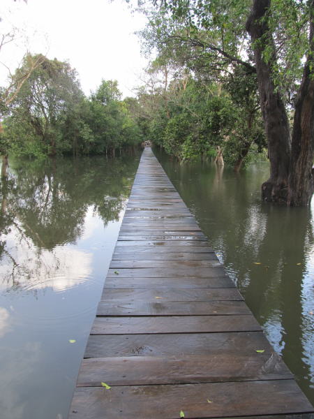 Pictures from Angkor Wat