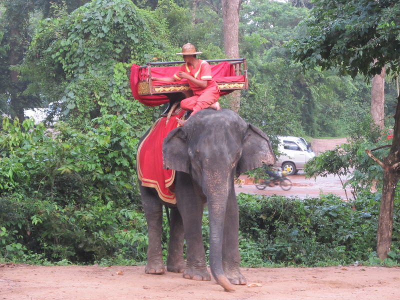 Pictures from Angkor Wat