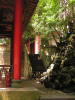 Pictures from China
