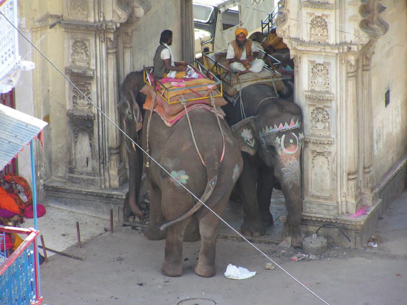 Pictures from India