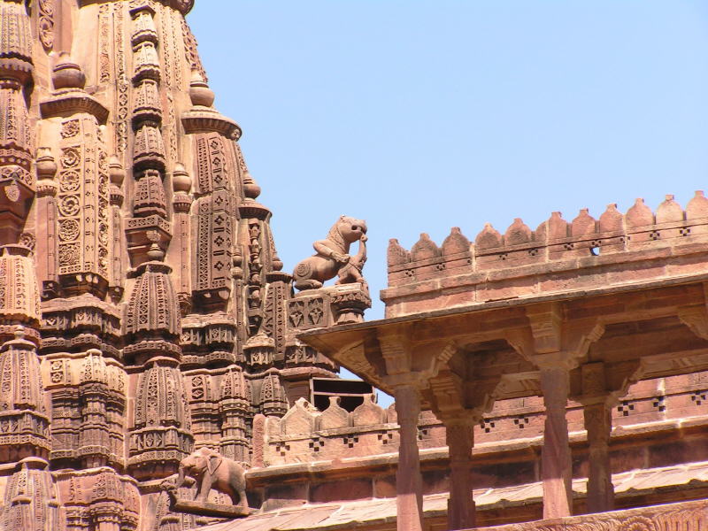 Pictures from India